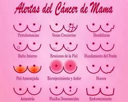 cancer de mama2